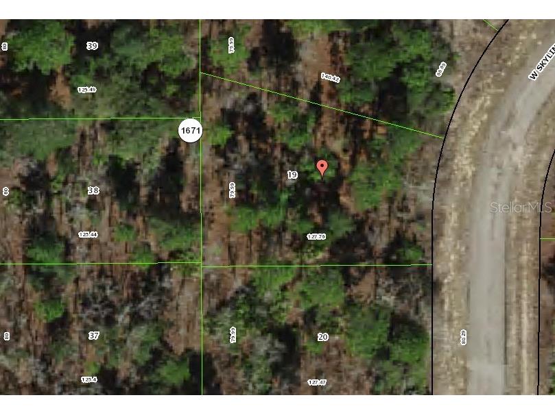 1947 W Skyline Drive Citrus Springs FL 34434 OM714010 image3