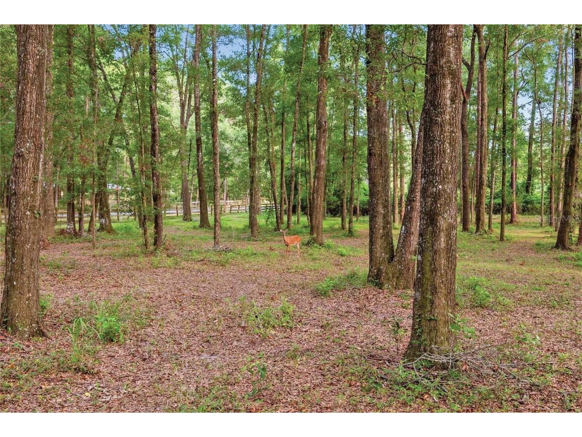 19474 NW 215th Terrace High Springs FL 32643 O6287031 image16