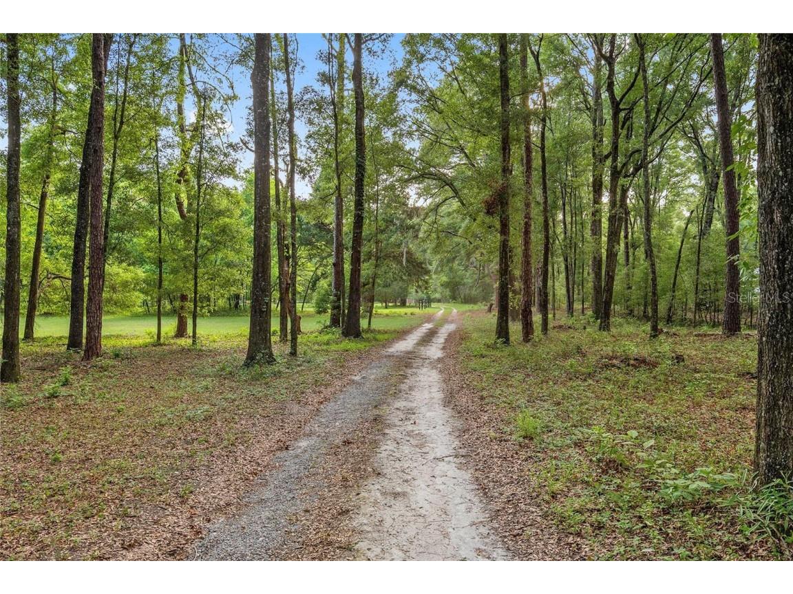 19474 NW 215th Terrace High Springs FL 32643 O6287031 image23