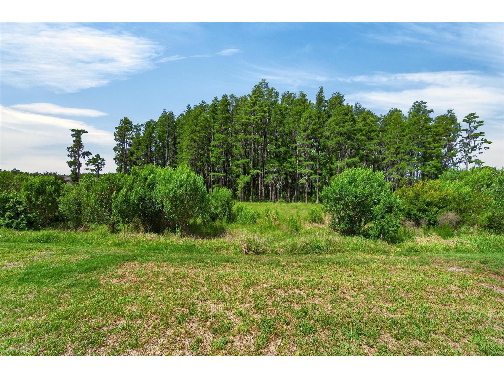 19474 Ship Wheel Way Land O Lakes FL 34638 S5149643 image40