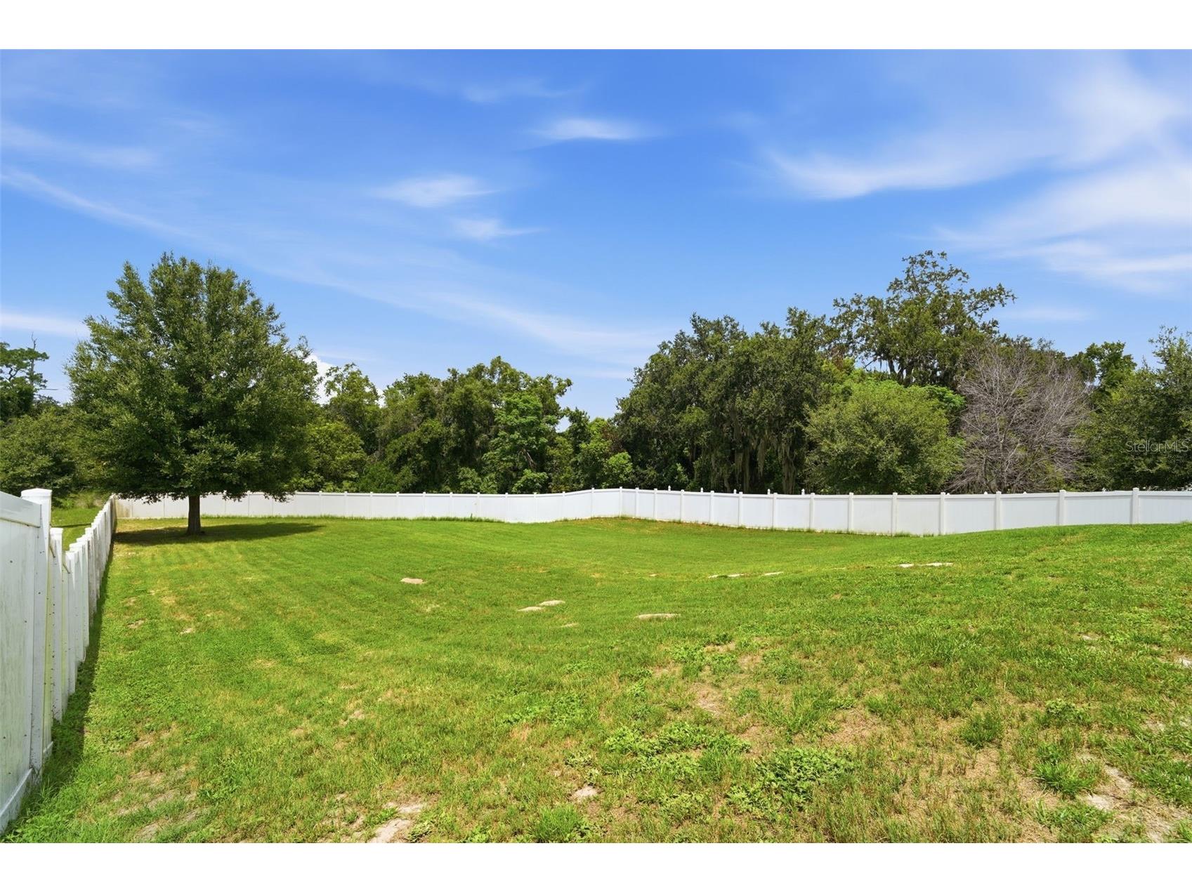 1948 Bell Creek Loop Fruitland Park FL 34731 O6424322 image36