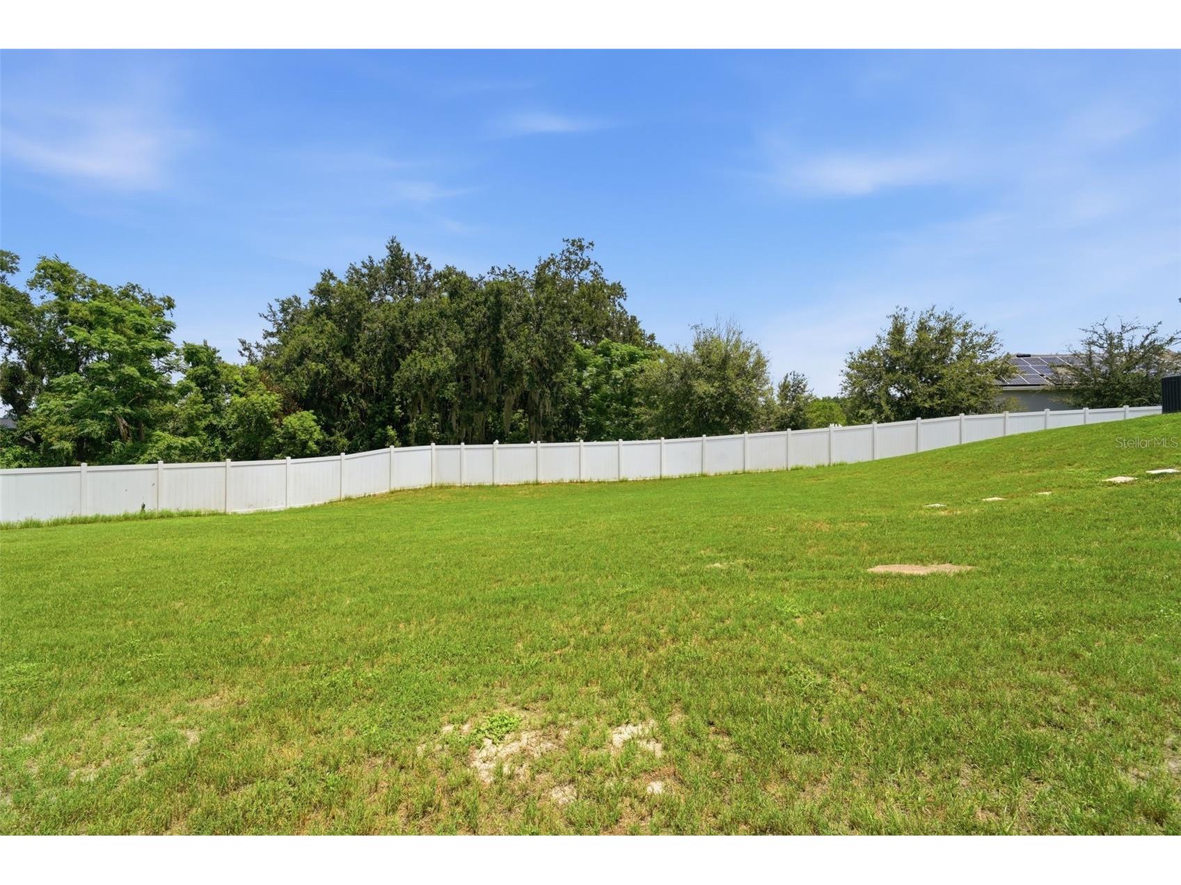 1948 Bell Creek Loop Fruitland Park FL 34731 O6424322 image38