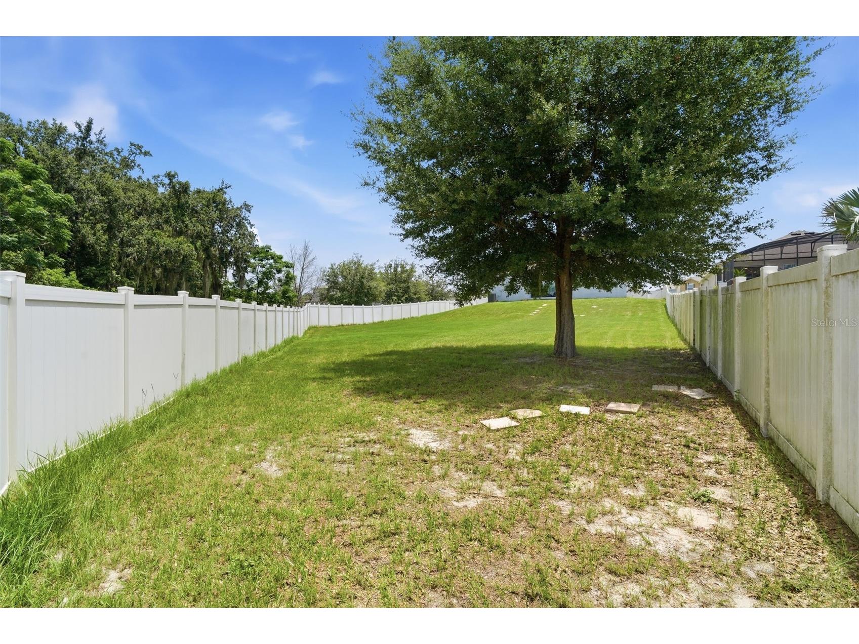 1948 Bell Creek Loop Fruitland Park FL 34731 O6424322 image39