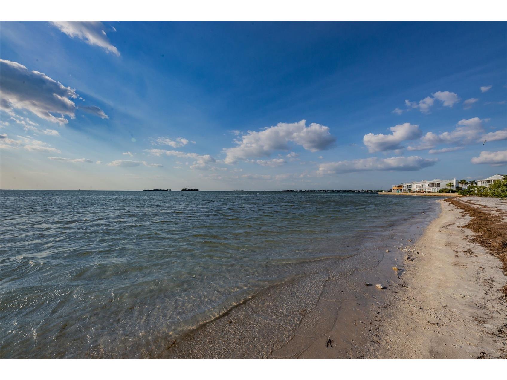 1948 Byram Drive Clearwater FL 33755 TB8516056 image82