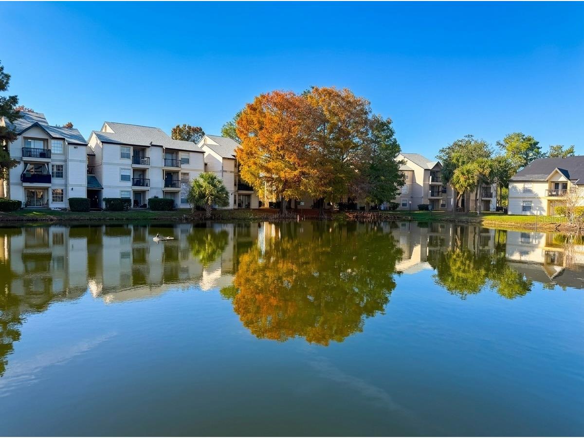 1948 Lake Atriums Circle #113 Orlando FL 32839 O6401121 image19