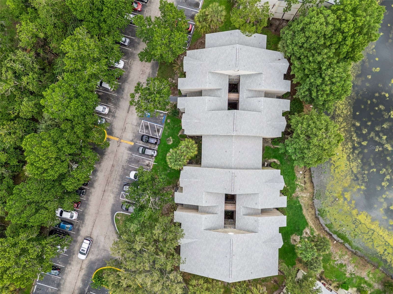 1948 Lake Atriums Circle #124 Orlando FL 32839 O6412520 image23