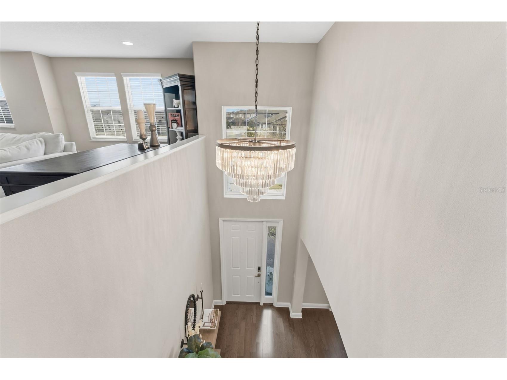 19484 Blossom Vine Lane Lutz FL 33558 TB8475728 image15