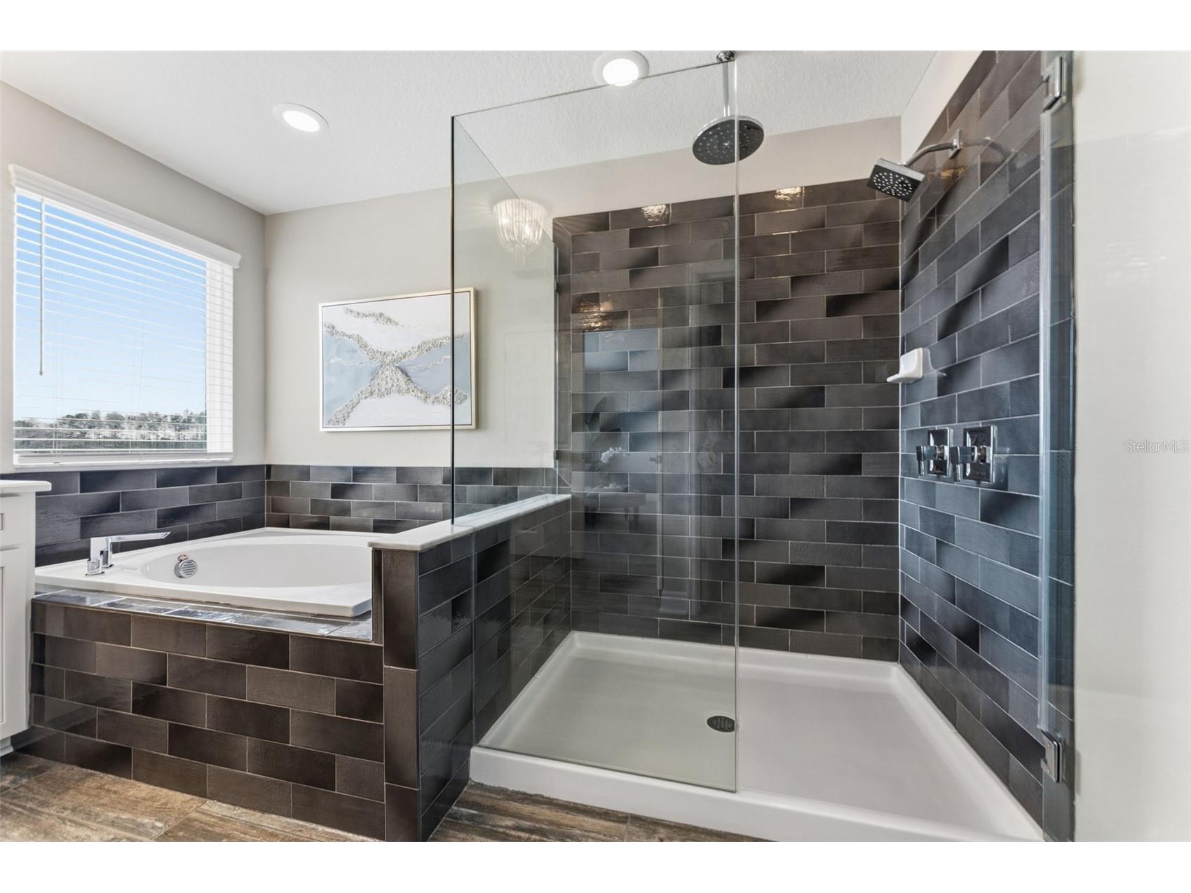 19484 Blossom Vine Lane Lutz FL 33558 TB8475728 image21