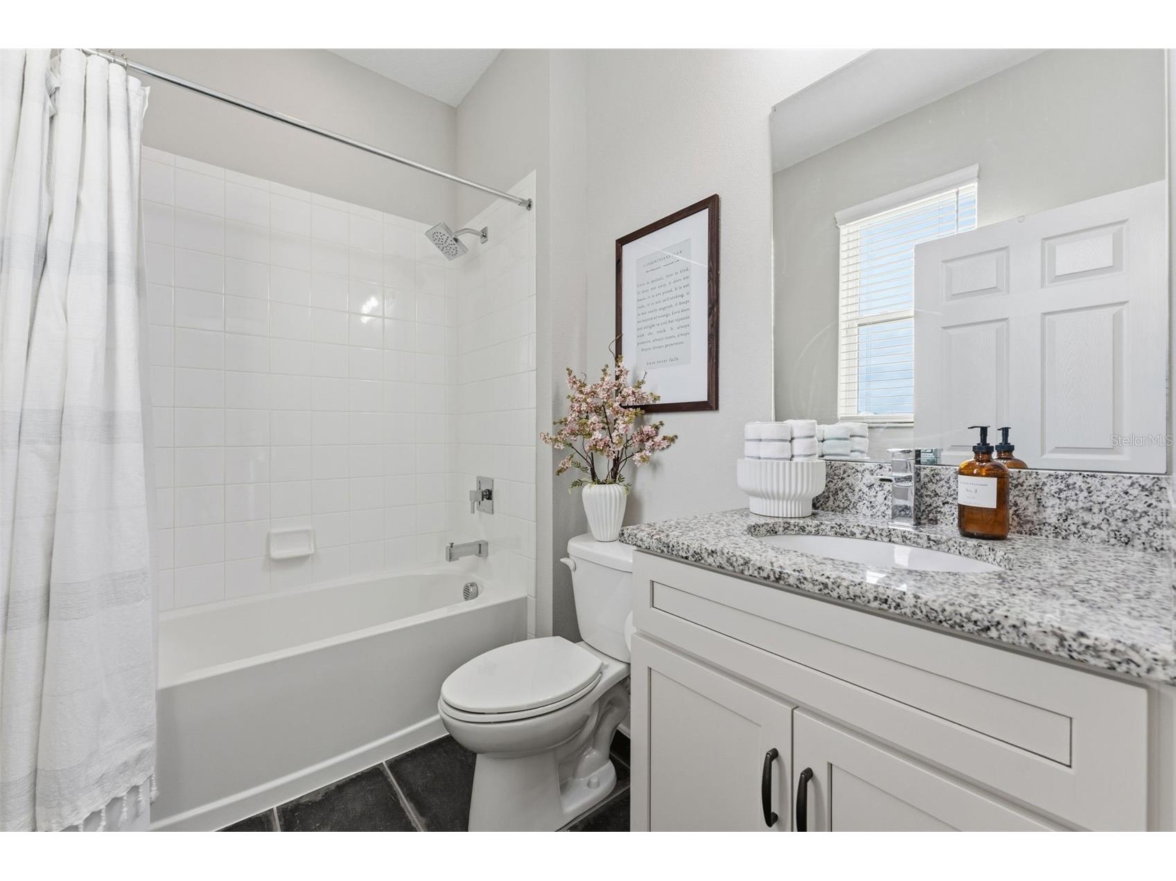 19484 Blossom Vine Lane Lutz FL 33558 TB8475728 image23