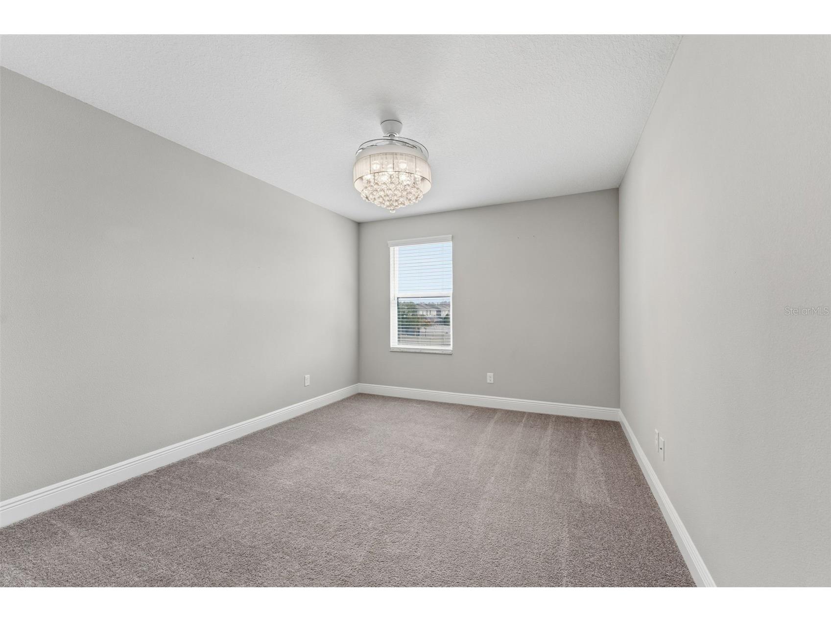 19484 Blossom Vine Lane Lutz FL 33558 TB8475728 image24