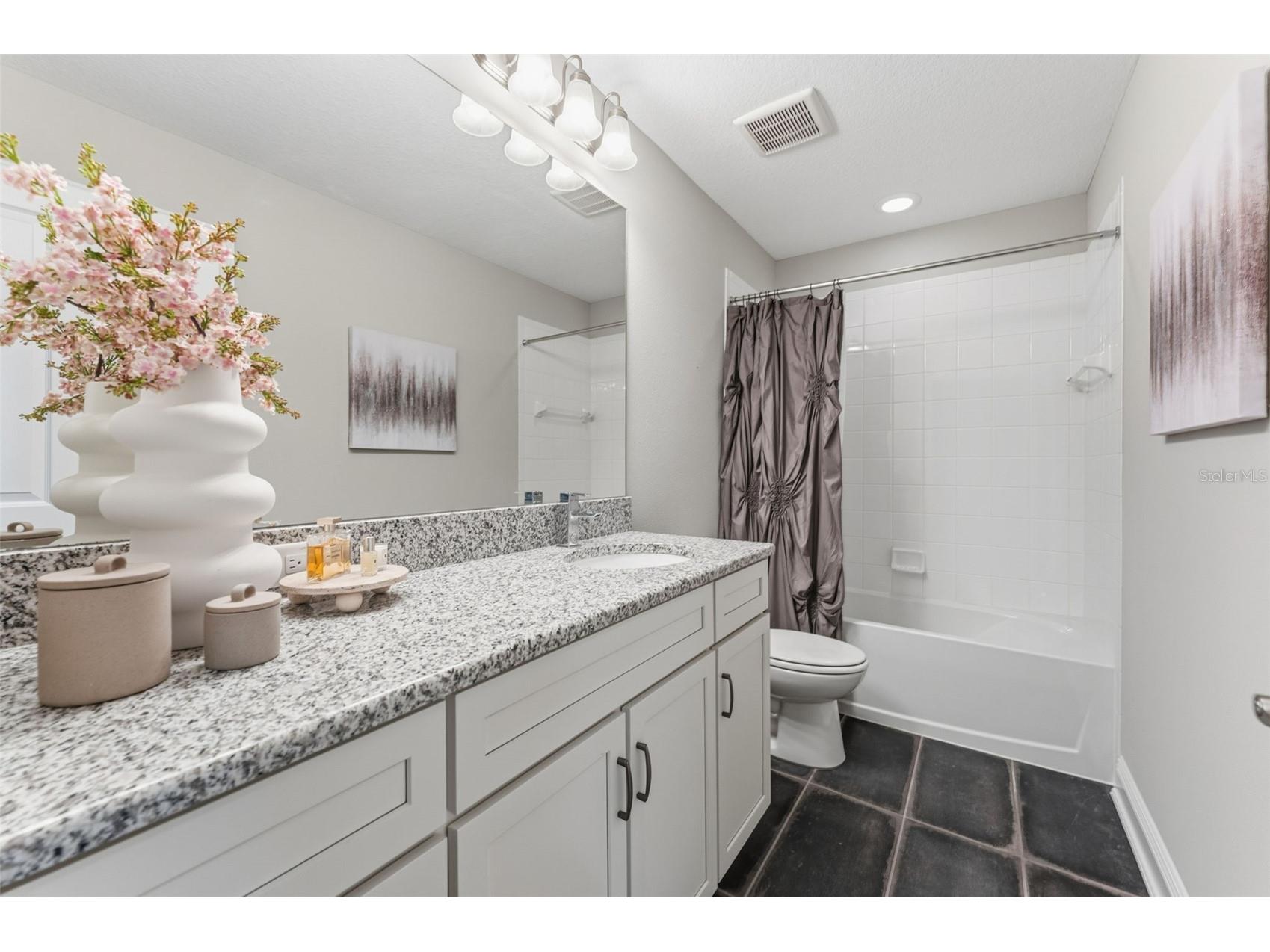 19484 Blossom Vine Lane Lutz FL 33558 TB8475728 image25