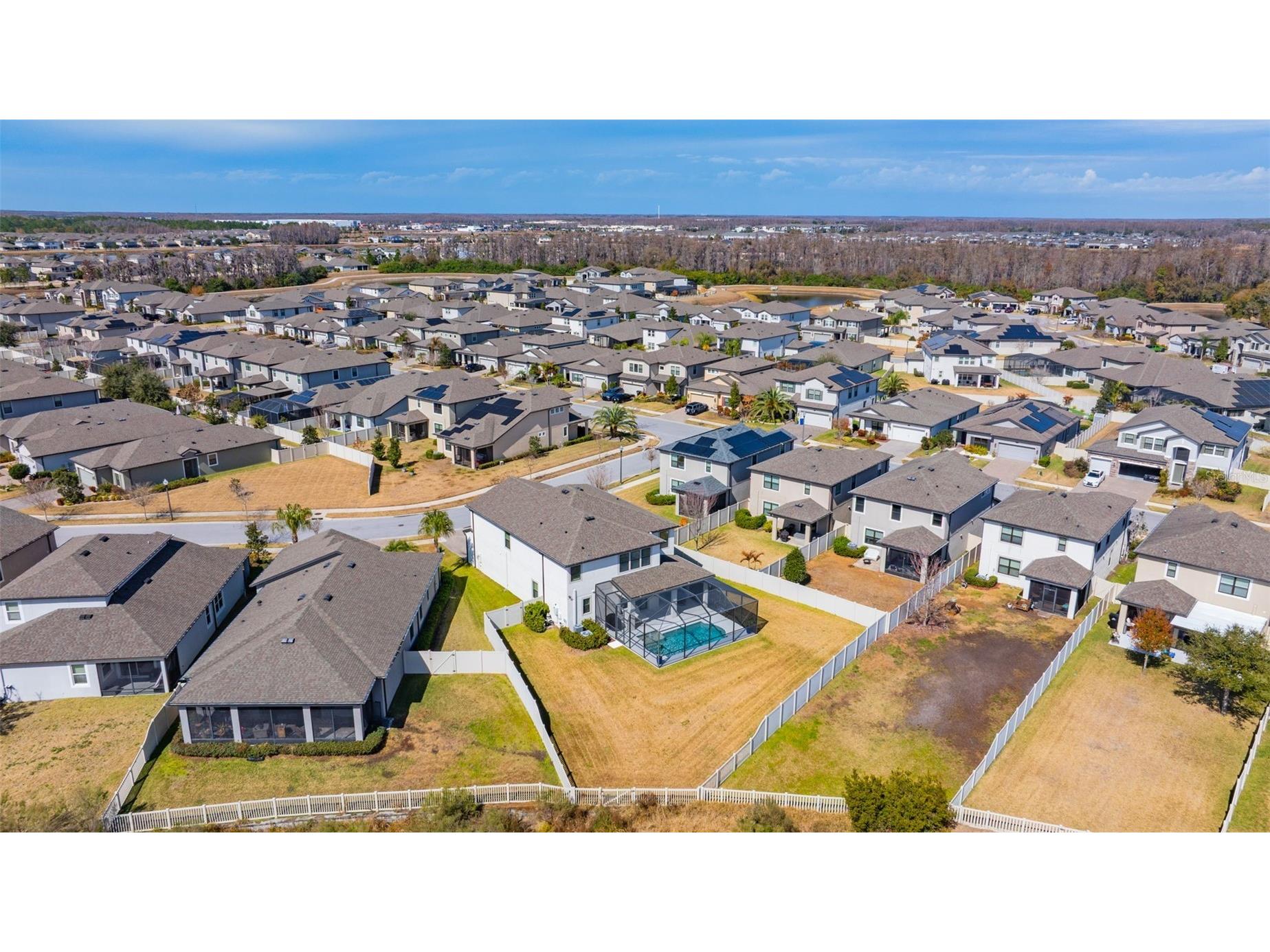 19484 Blossom Vine Lane Lutz FL 33558 TB8475728 image38