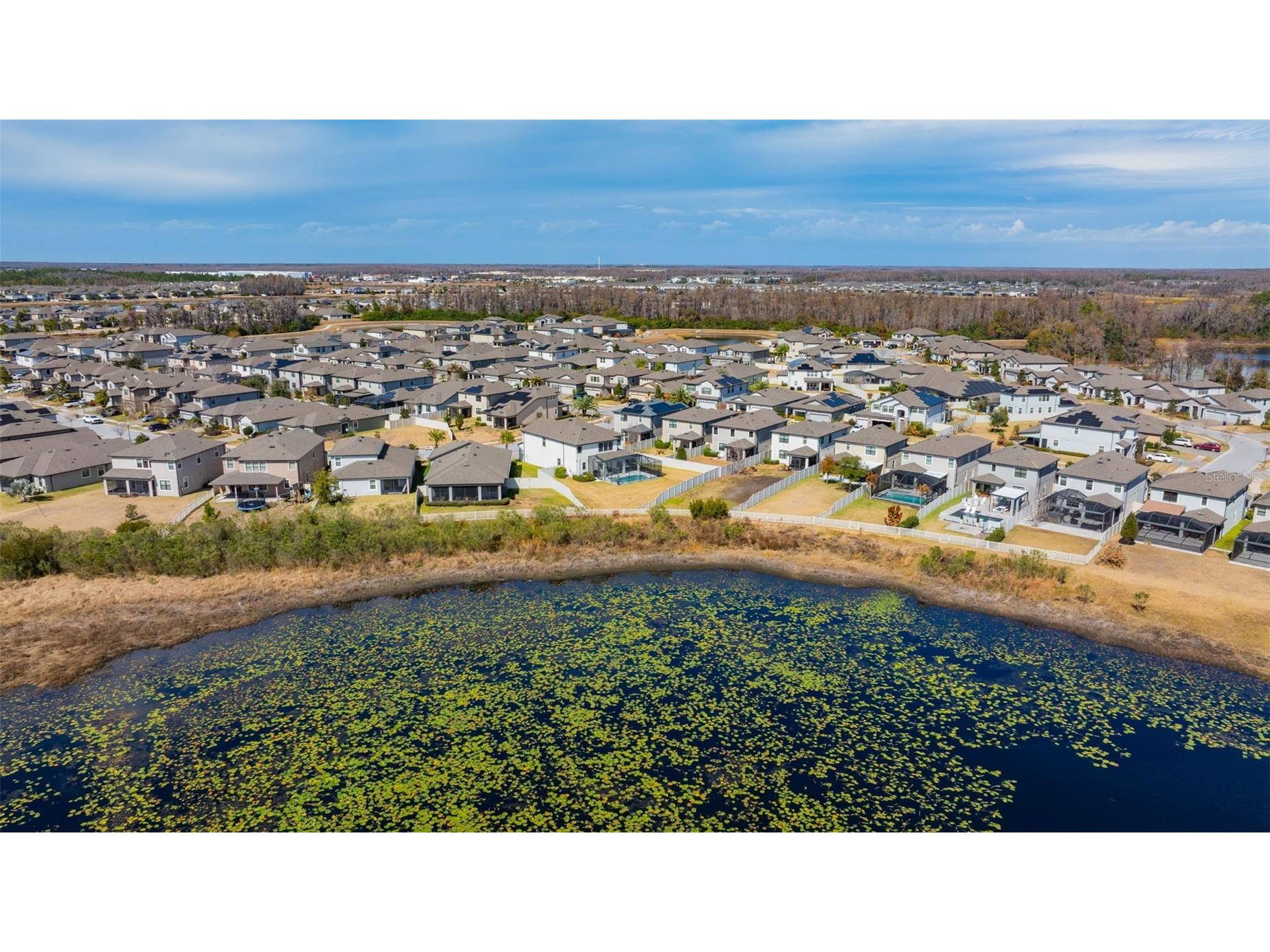 19484 Blossom Vine Lane Lutz FL 33558 TB8475728 image40