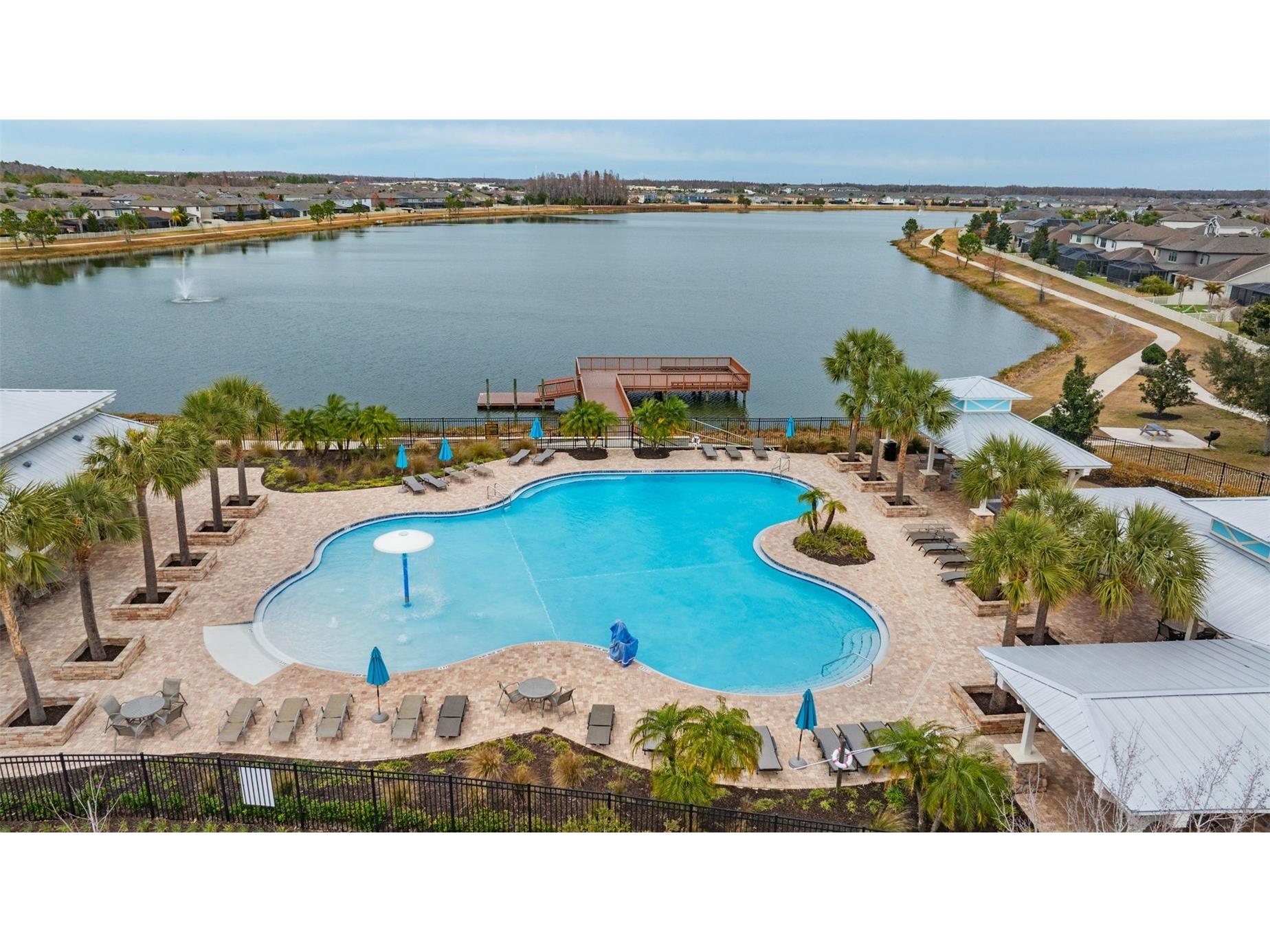 19484 Blossom Vine Lane Lutz FL 33558 TB8475728 image41