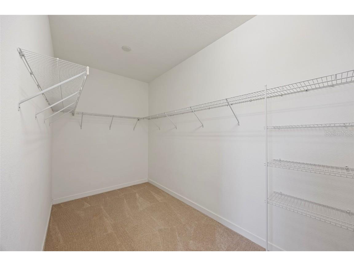 19485 Paddock View Drive Tampa FL 33647 TB8444121 image22