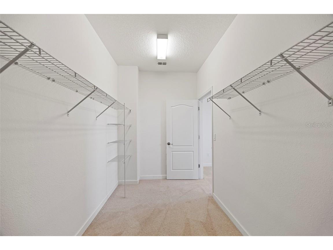 19485 Paddock View Drive Tampa FL 33647 TB8444121 image23