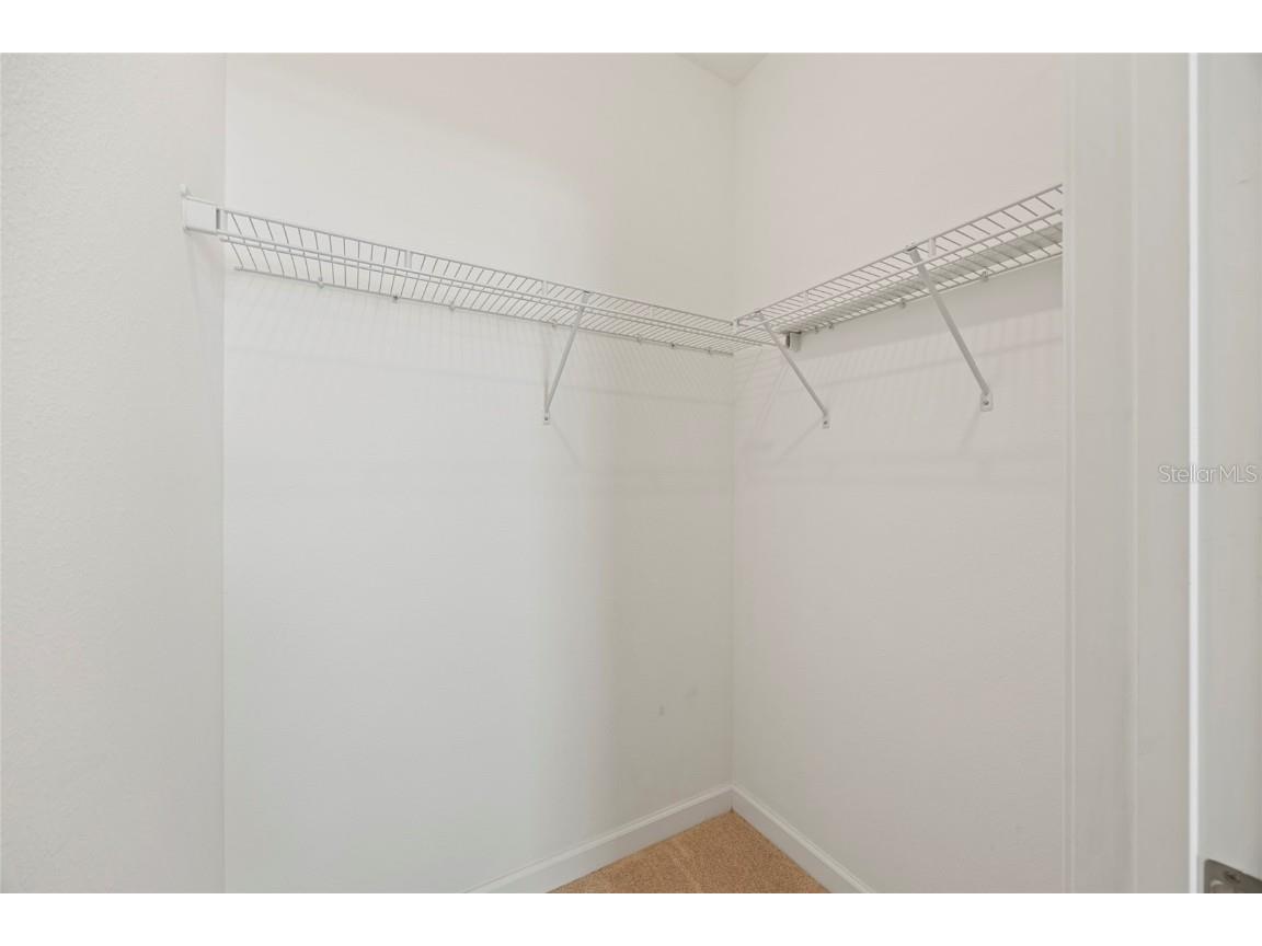 19485 Paddock View Drive Tampa FL 33647 TB8444121 image31