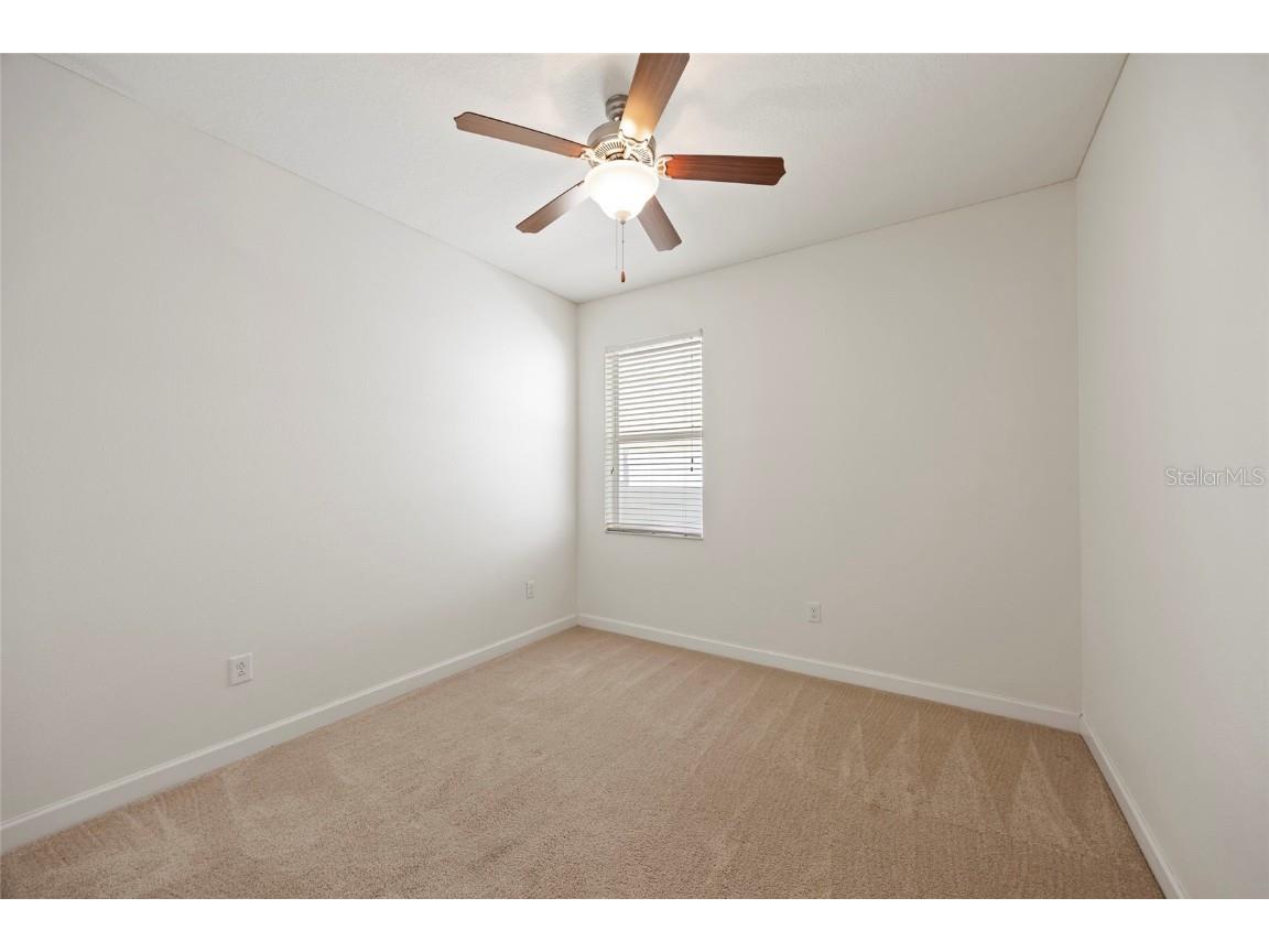 19485 Paddock View Drive Tampa FL 33647 TB8444121 image33