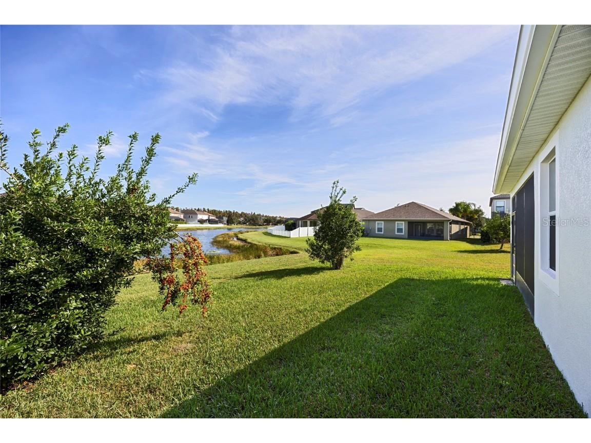 19485 Paddock View Drive Tampa FL 33647 TB8444121 image40
