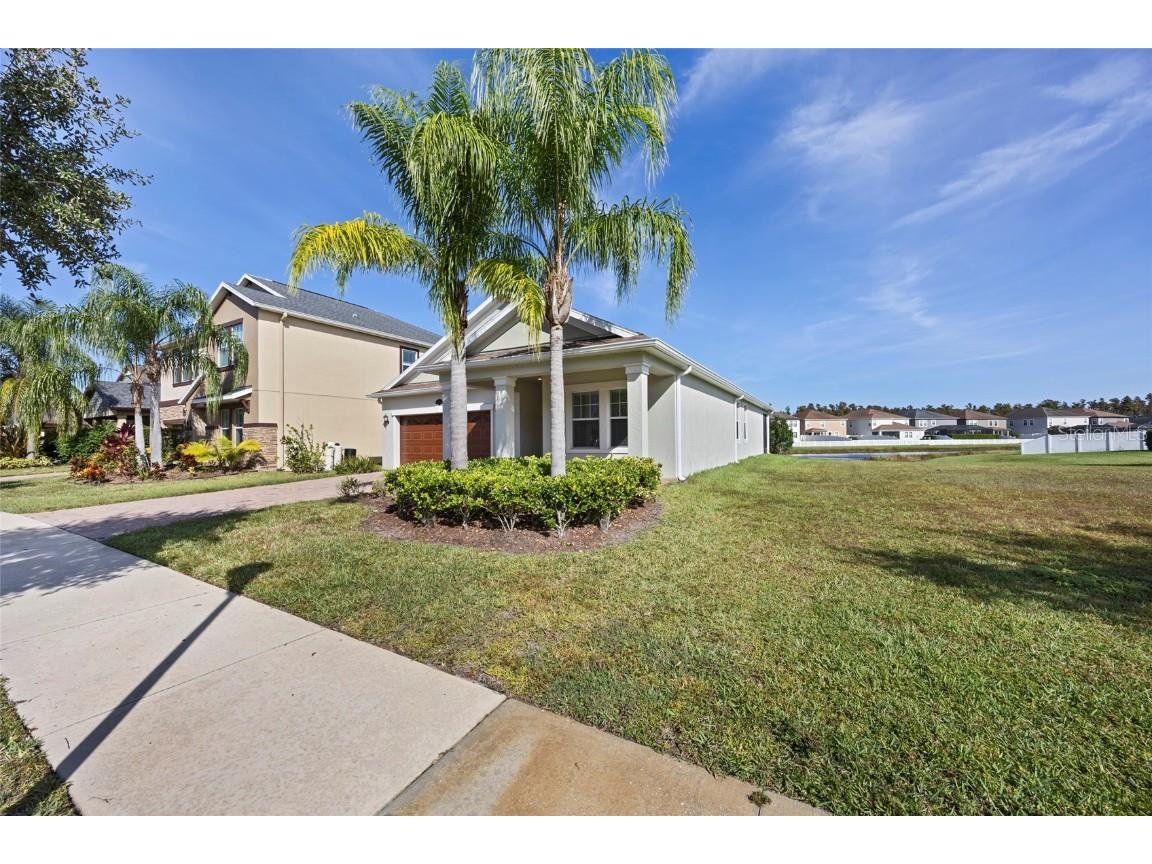 19485 Paddock View Drive Tampa FL 33647 TB8444121 image41