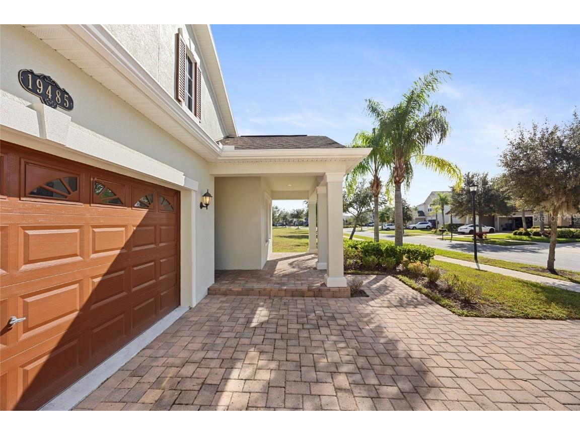 19485 Paddock View Drive Tampa FL 33647 TB8444121 image42
