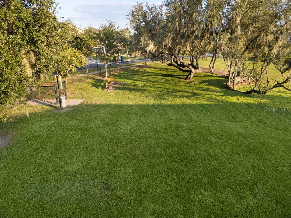 19485 Paddock View Drive Tampa FL 33647 TB8444121 image48