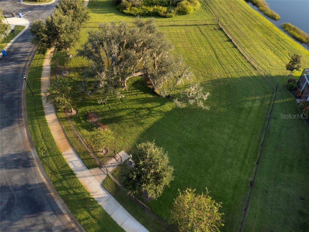 19485 Paddock View Drive Tampa FL 33647 TB8444121 image49