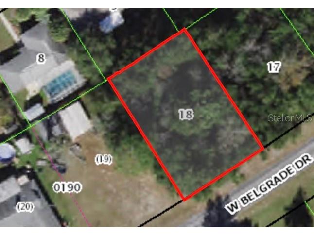 1949 W Belgrade Drive Citrus Springs FL 34434 A4577431 image1