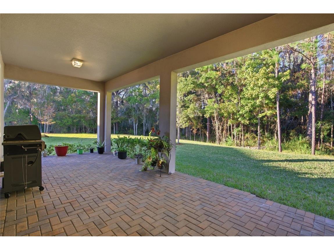 19493 Forest Garden Court Brooksville FL 34601 TB8452344 image26