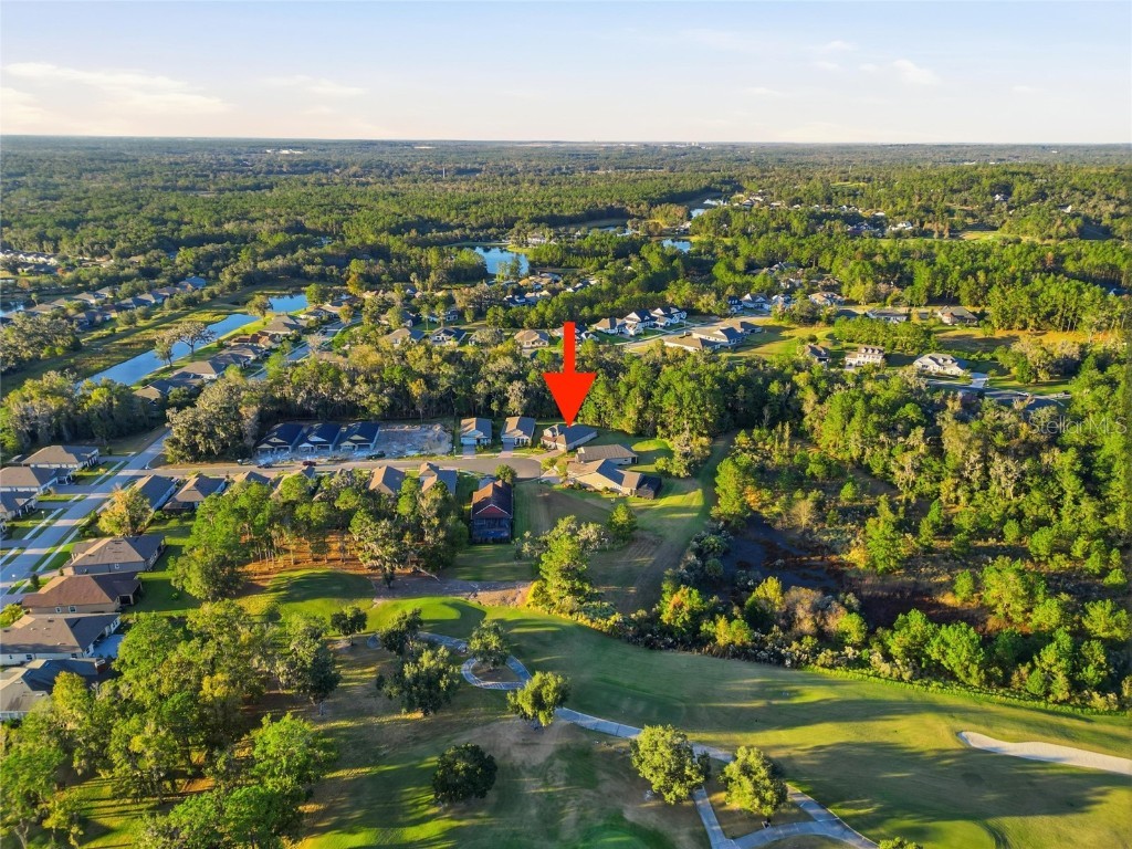 19493 Forest Garden Court Brooksville FL 34601 TB8452344 image29