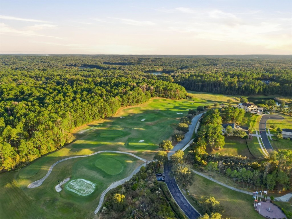 19493 Forest Garden Court Brooksville FL 34601 TB8452344 image35