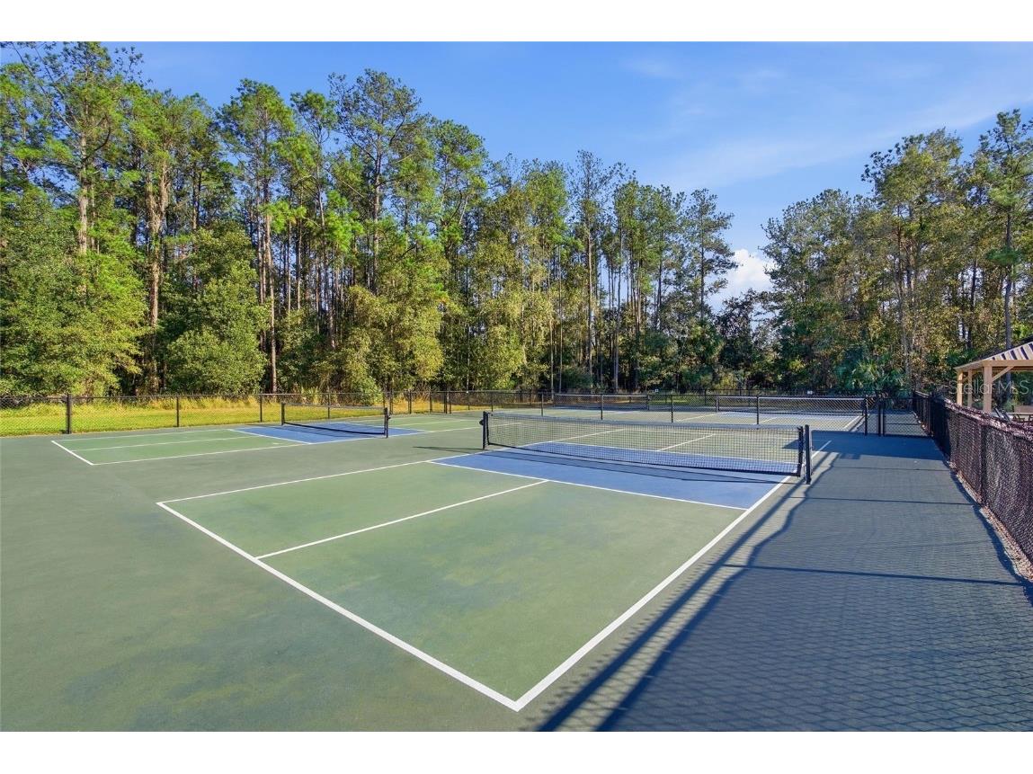 19493 Forest Garden Court Brooksville FL 34601 TB8452344 image43