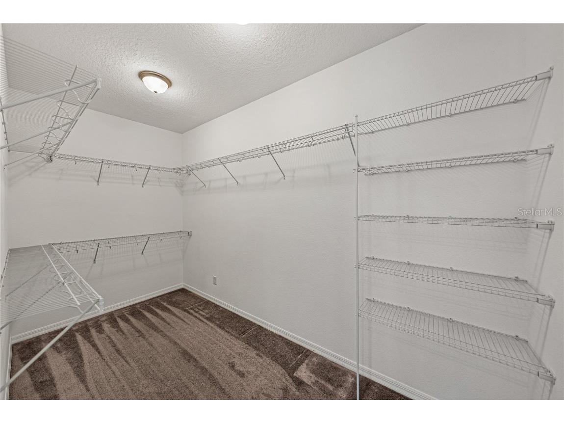 19493 Leonard Road Lutz FL 33558 - Camp Lake TB8441663 image26