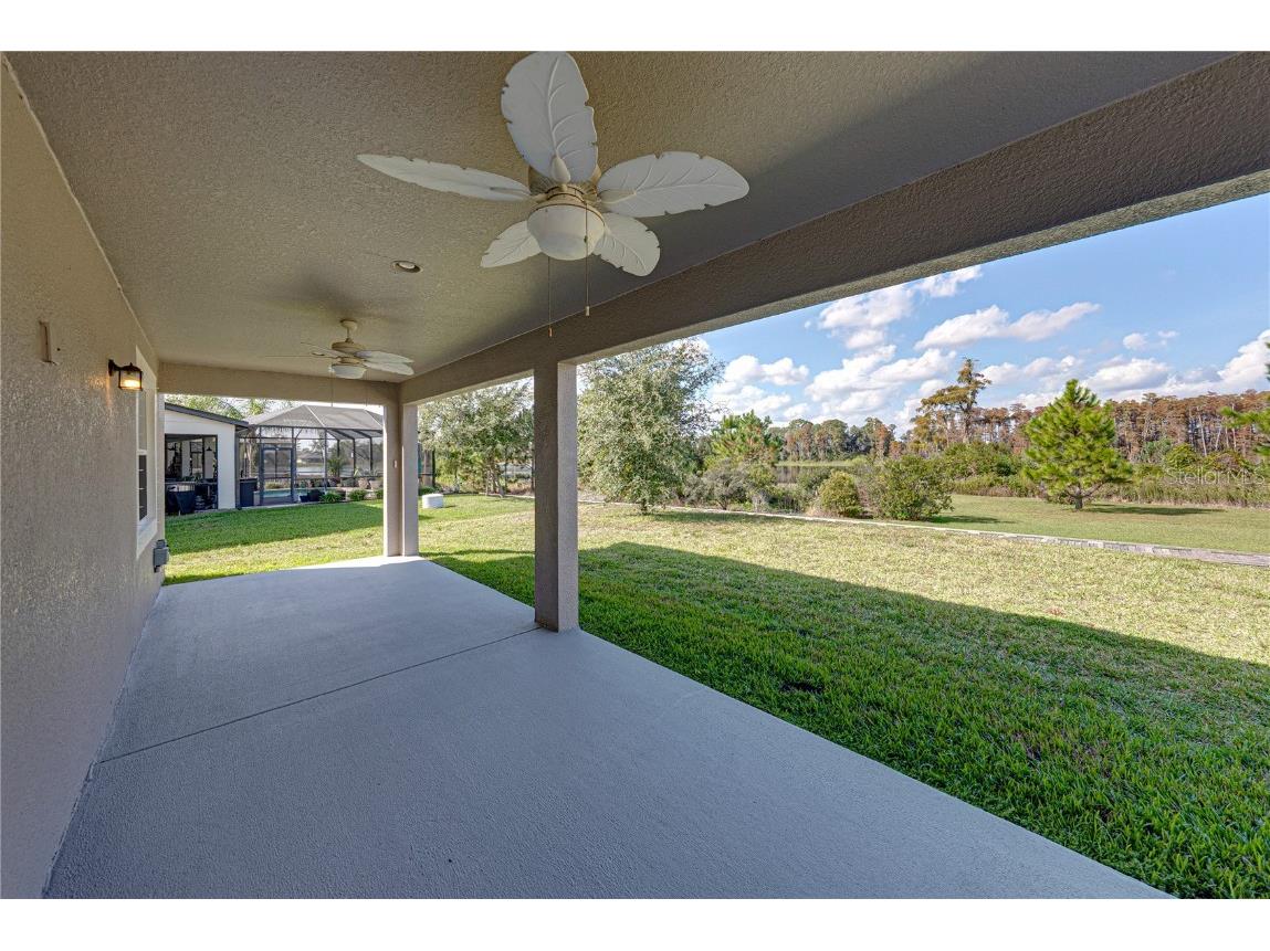 19493 Leonard Road Lutz FL 33558 - Camp Lake TB8441663 image34