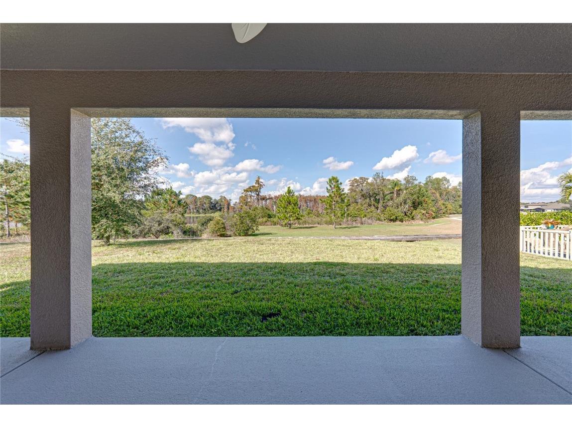 19493 Leonard Road Lutz FL 33558 - Camp Lake TB8441663 image35