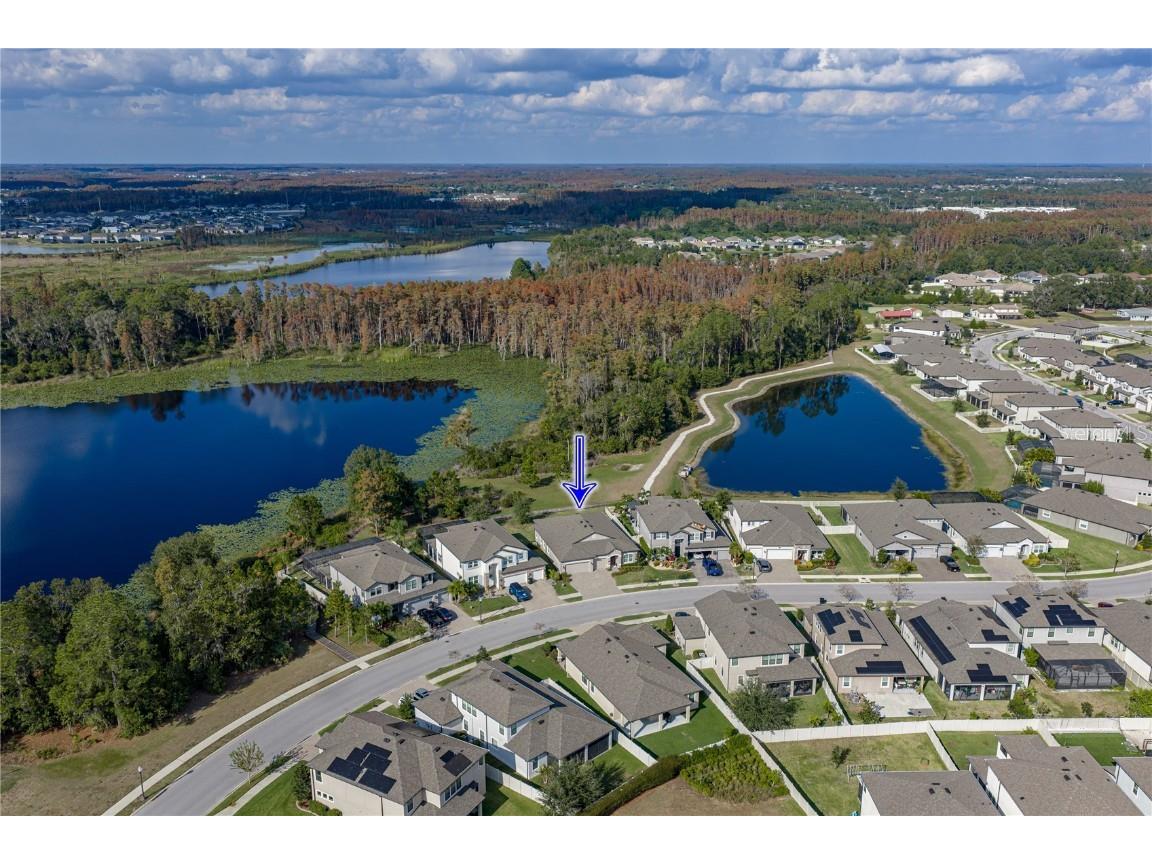 19493 Leonard Road Lutz FL 33558 - Camp Lake TB8441663 image4