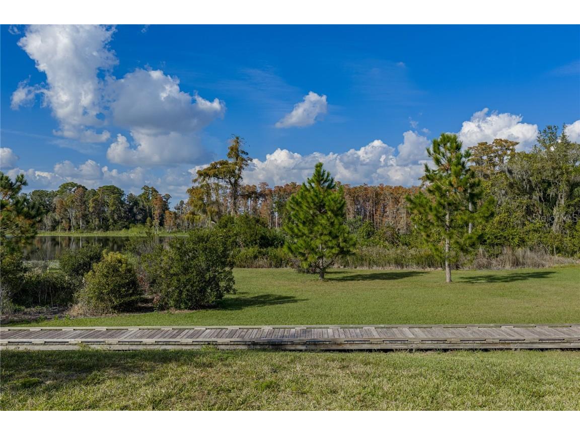 19493 Leonard Road Lutz FL 33558 - Camp Lake TB8441663 image43