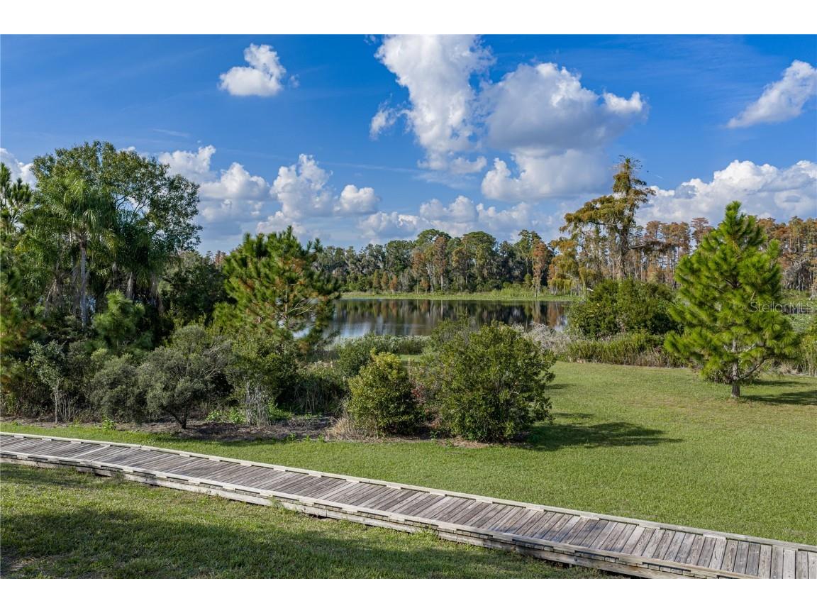 19493 Leonard Road Lutz FL 33558 - Camp Lake TB8441663 image44