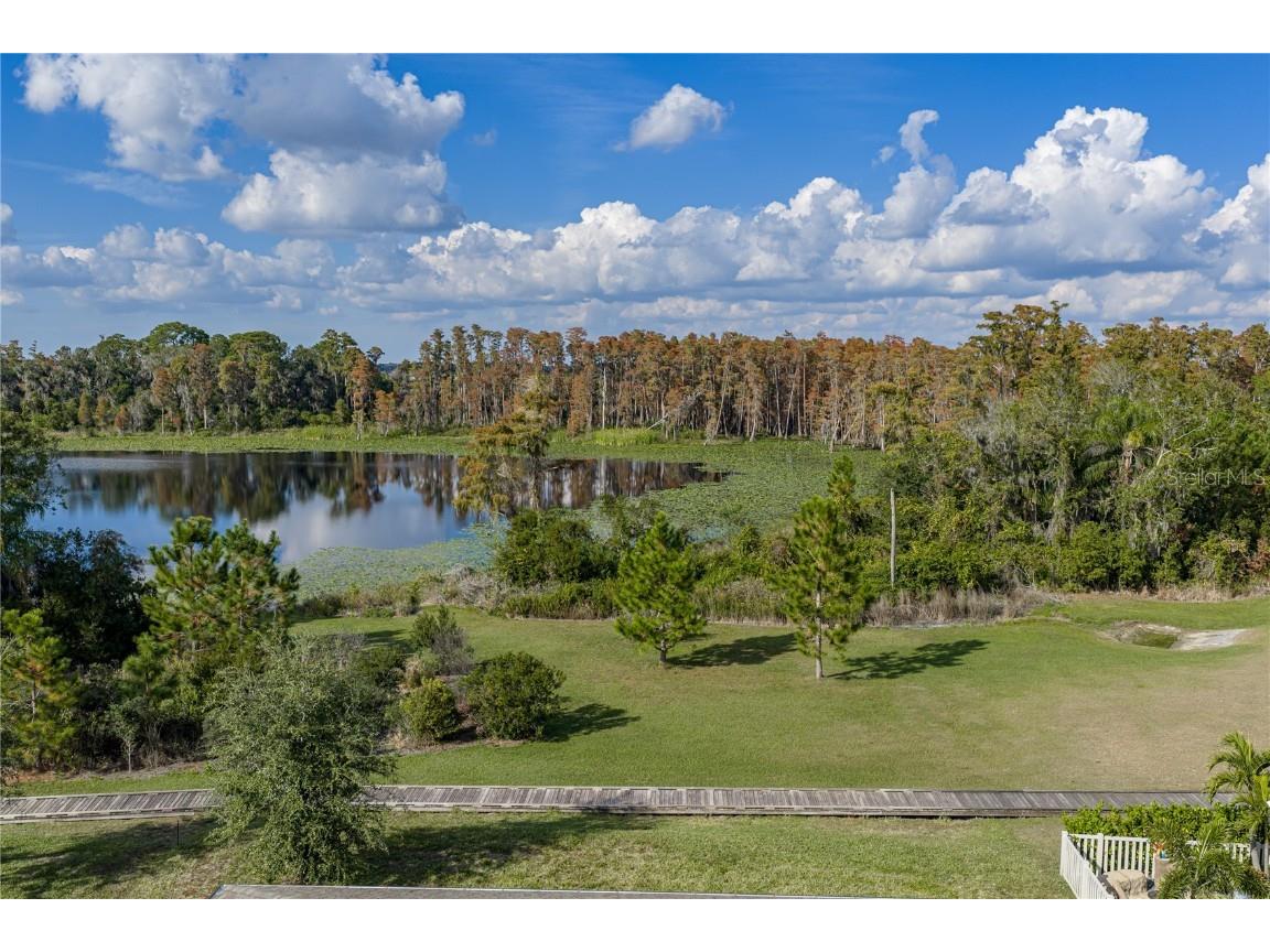 19493 Leonard Road Lutz FL 33558 - Camp Lake TB8441663 image45