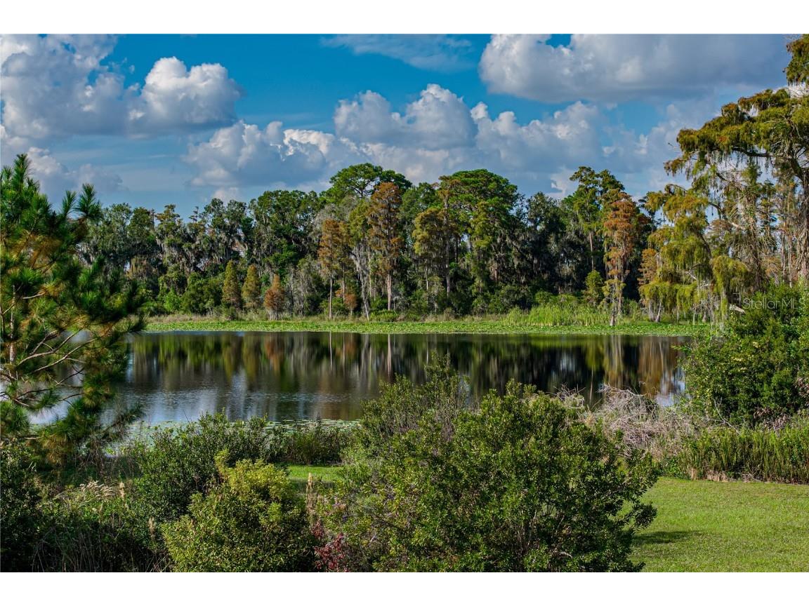 19493 Leonard Road Lutz FL 33558 - Camp Lake TB8441663 image46