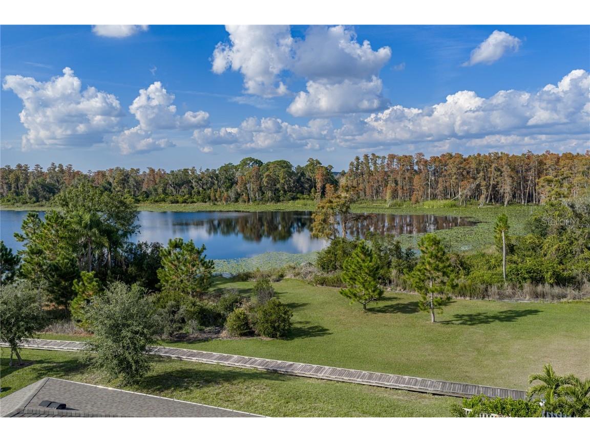 19493 Leonard Road Lutz FL 33558 - Camp Lake TB8441663 image47