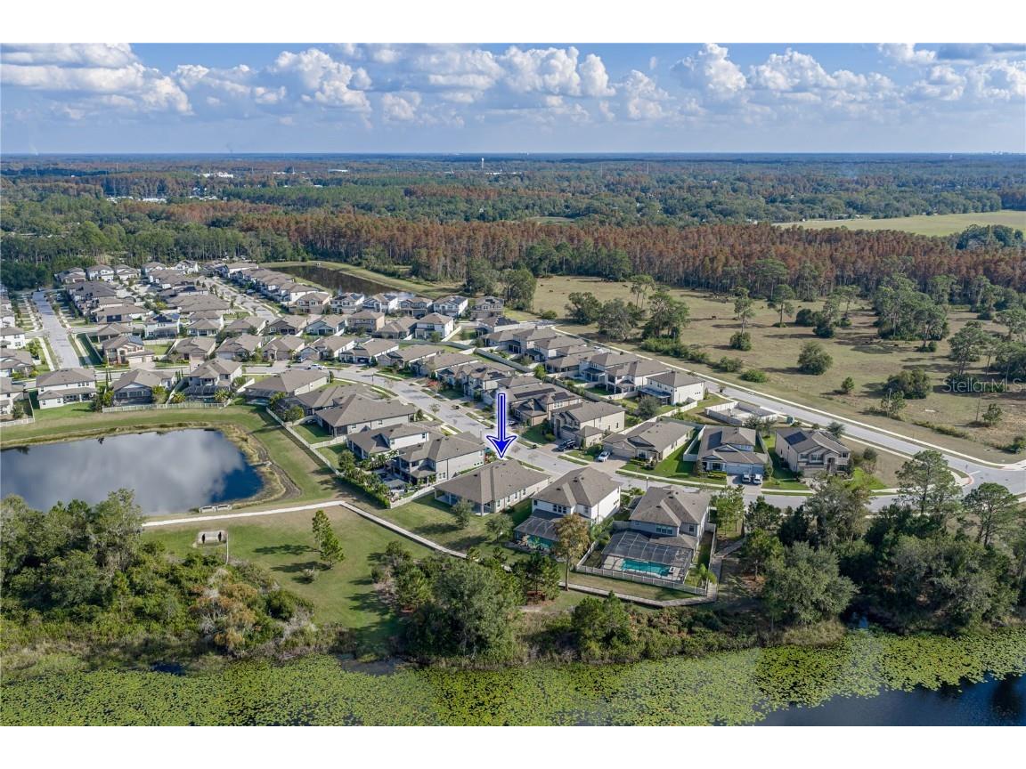 19493 Leonard Road Lutz FL 33558 - Camp Lake TB8441663 image54