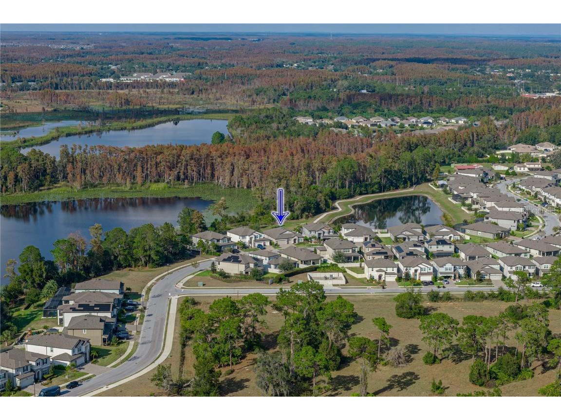 19493 Leonard Road Lutz FL 33558 - Camp Lake TB8441663 image55