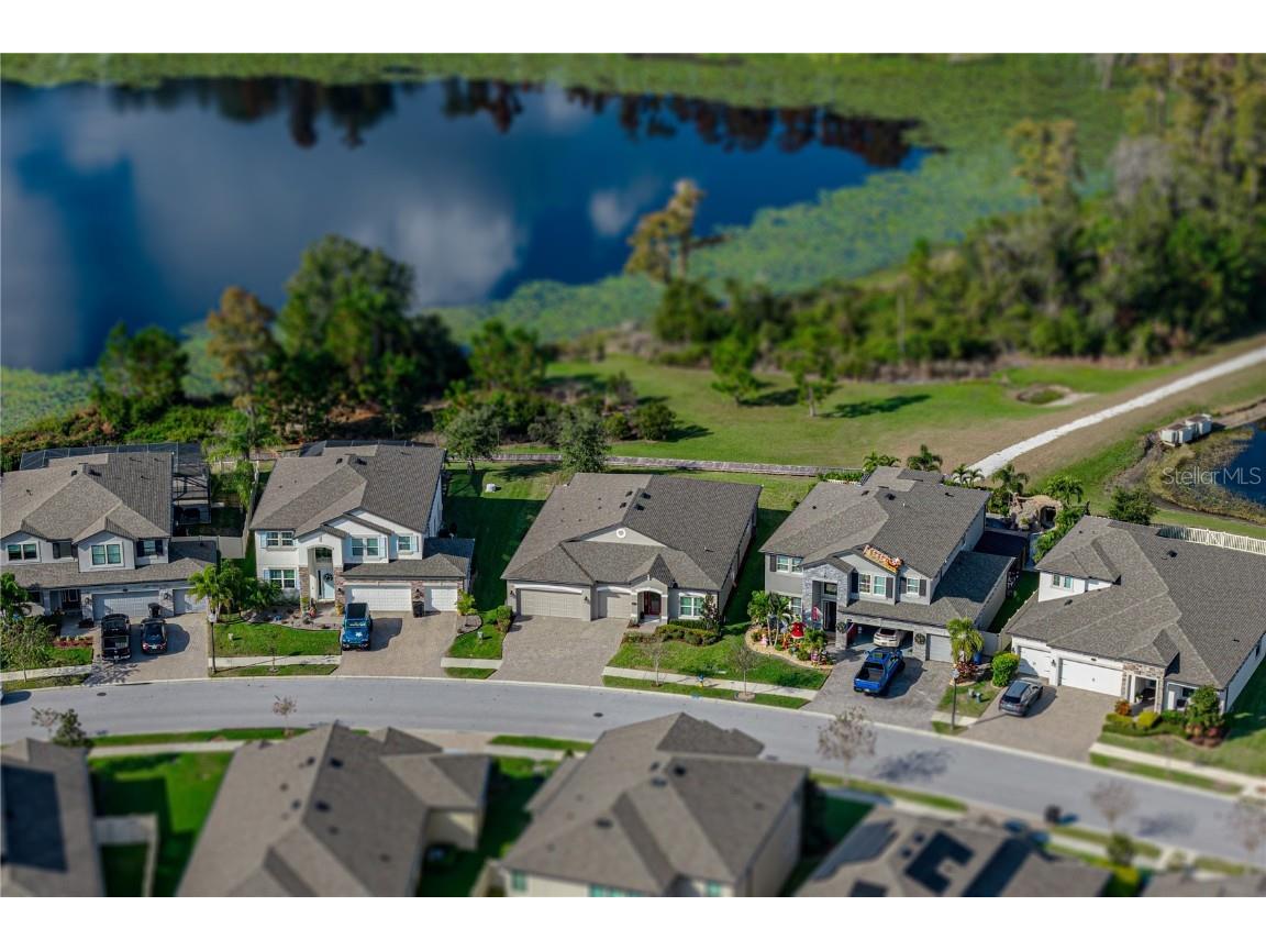 19493 Leonard Road Lutz FL 33558 - Camp Lake TB8441663 image56