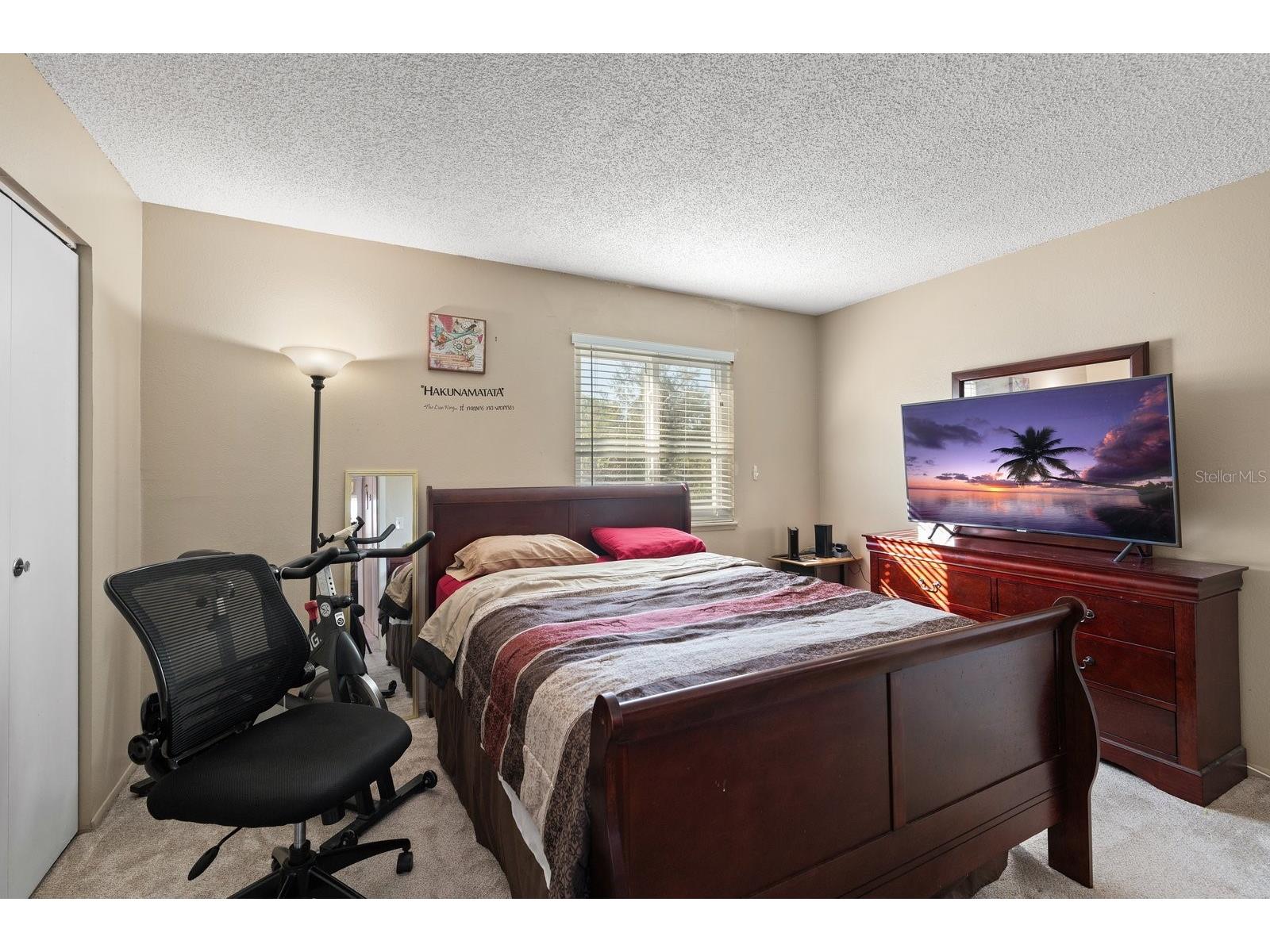 195 114th Avenue NE #195 Saint Petersburg FL 33716 TB8510703 image21