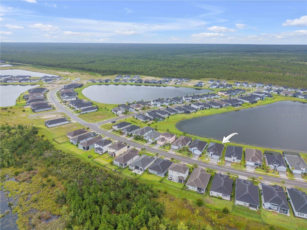 195 Azure Mist Way Daytona Beach FL 32124 V4944492 image60