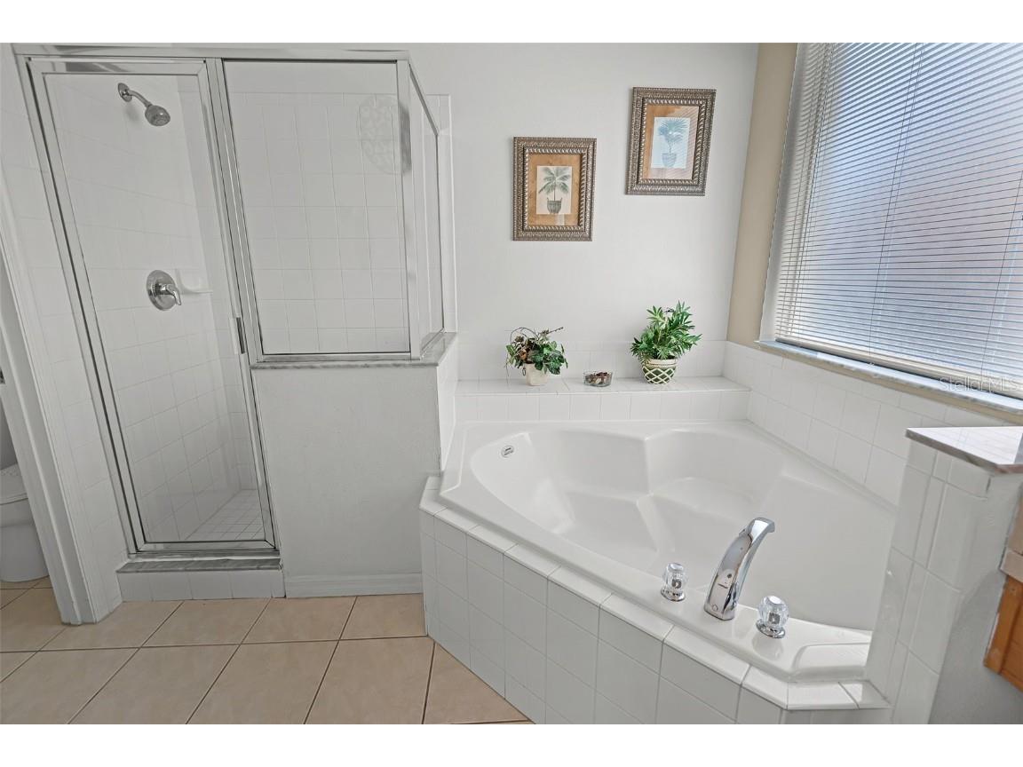 195 Hideaway Beach Lane Kissimmee FL 34746 S5129129 image25