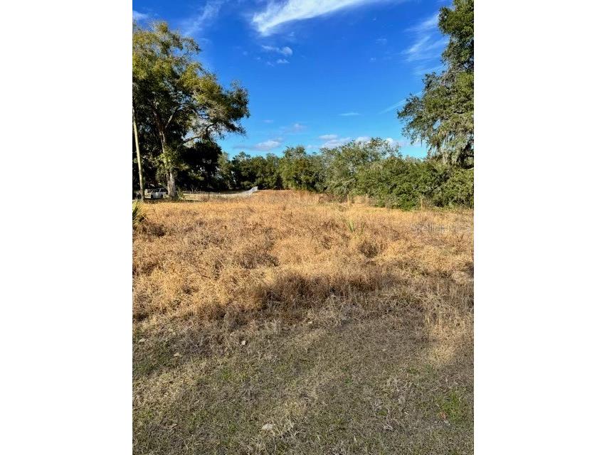 195 Lake Molly Avenue Deland FL 32724 O6376094 image3