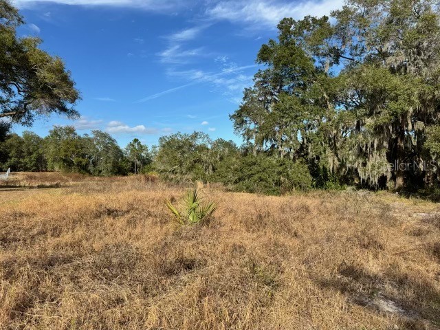 195 Lake Molly Avenue Deland FL 32724 O6376094 image4