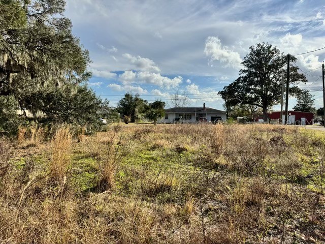 195 Lake Molly Avenue Deland FL 32724 O6376094 image5